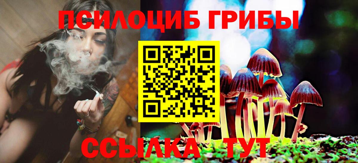 Псилоцибиновые грибы прущие грибы  Вход с VPN  Галлюциногенные грибы MAGIC MUSHROOMS  Тара 