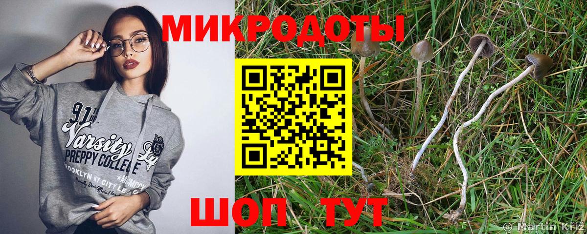 Псилоцибиновые грибы Psilocybine cubensis Тара